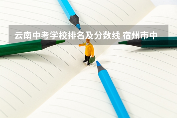 云南中考学校排名及分数线 宿州市中考分数排名