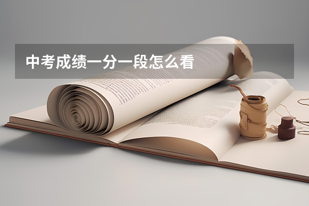中考成绩一分一段怎么看