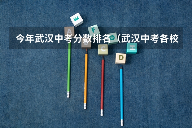 今年武汉中考分数排名（武汉中考各校分数线）
