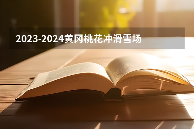 2023-2024黄冈桃花冲滑雪场门票多少钱