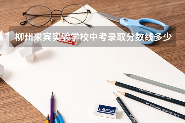 柳州来宾实验学校中考录取分数线多少分