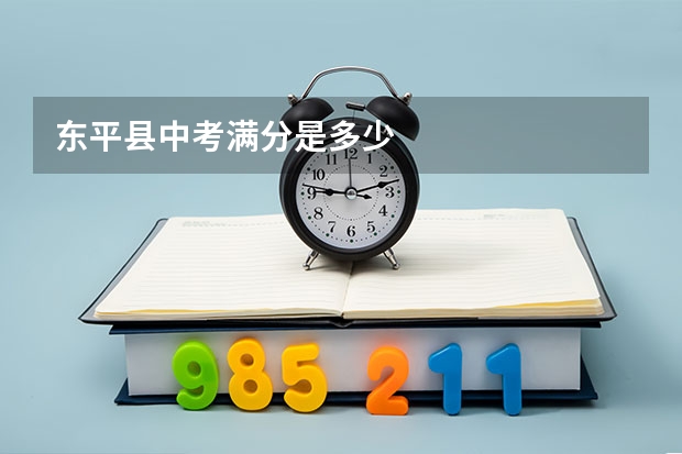 东平县中考满分是多少