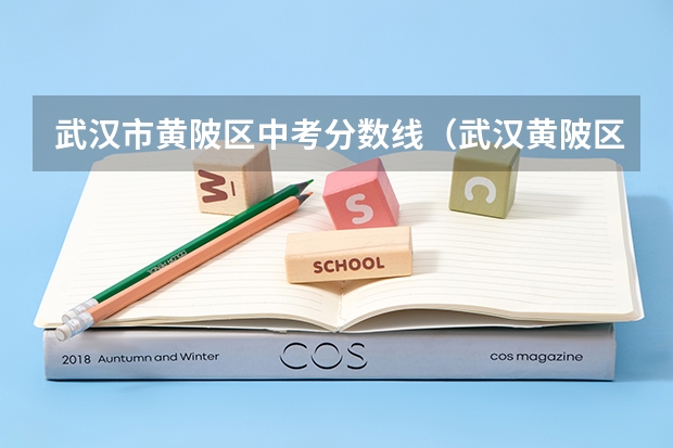 武汉市黄陂区中考分数线（武汉黄陂区中考分数线划定）