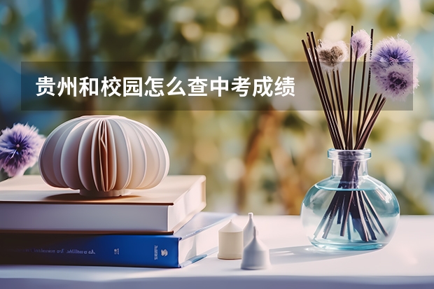 贵州和校园怎么查中考成绩