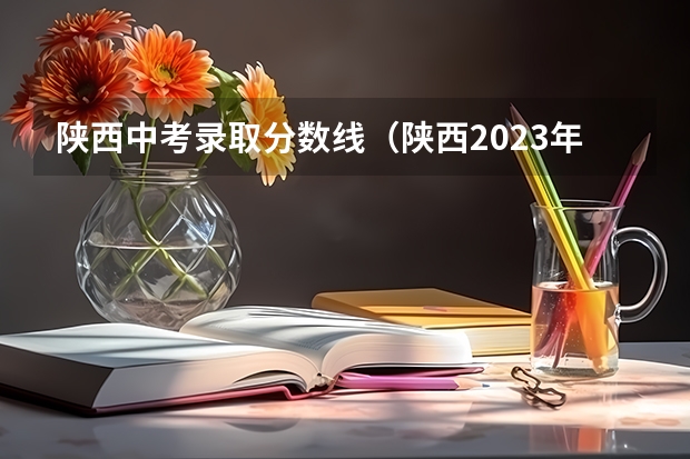 陕西中考录取分数线（陕西2023年中考录取分数线一览表）