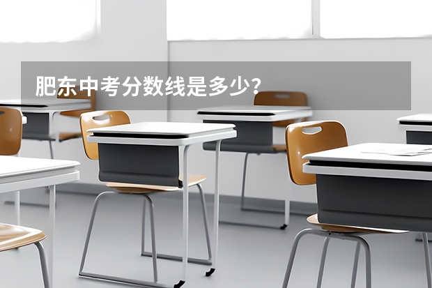 肥东中考分数线是多少？