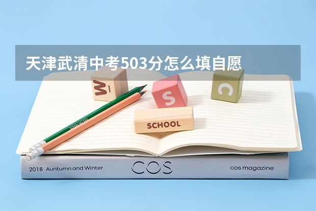 天津武清中考503分怎么填自愿