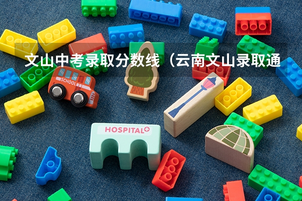 文山中考录取分数线(云南文山录取通知书几号可以查了看中考第二枇和第三批)