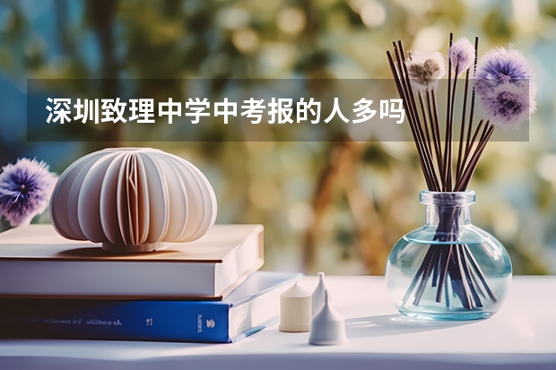 深圳致理中学中考报的人多吗
