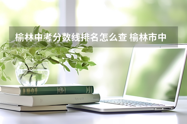 榆林中考分数线排名怎么查 榆林市中考成绩