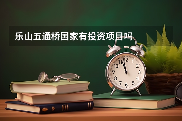 乐山五通桥国家有投资项目吗