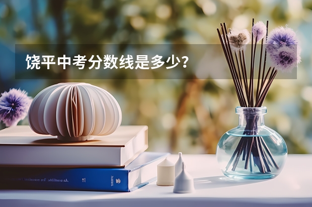 饶平中考分数线是多少？