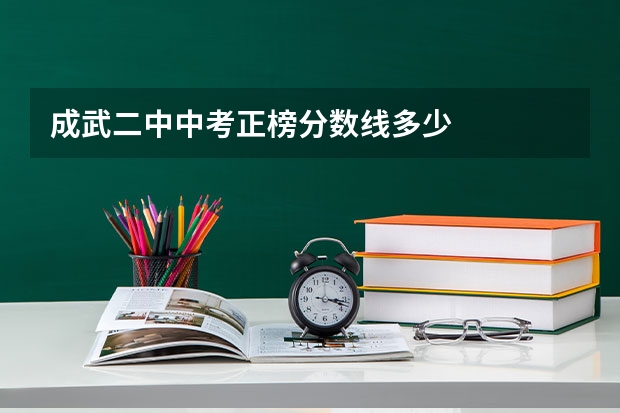 成武二中中考正榜分数线多少