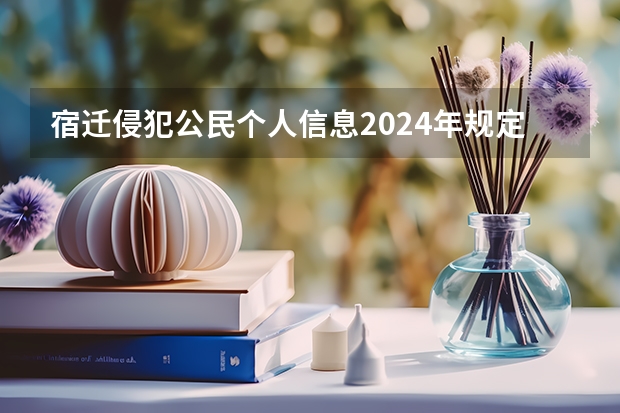 宿迁侵犯公民个人信息2024年规定的处罚标准是什么