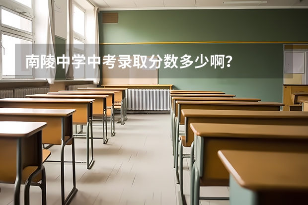 南陵中学中考录取分数多少啊？