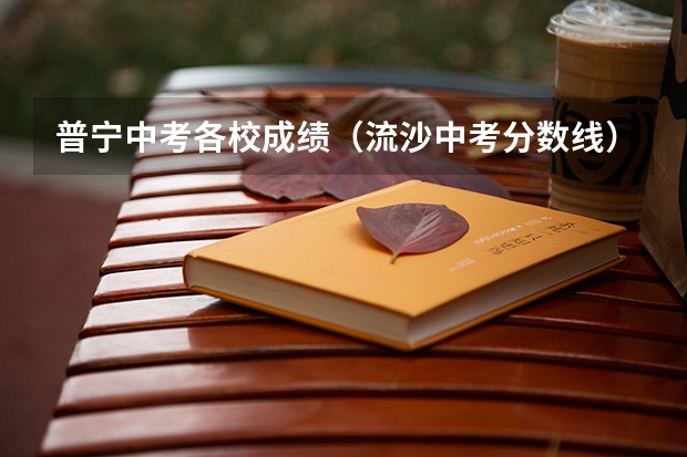 普宁中考各校成绩（流沙中考分数线）