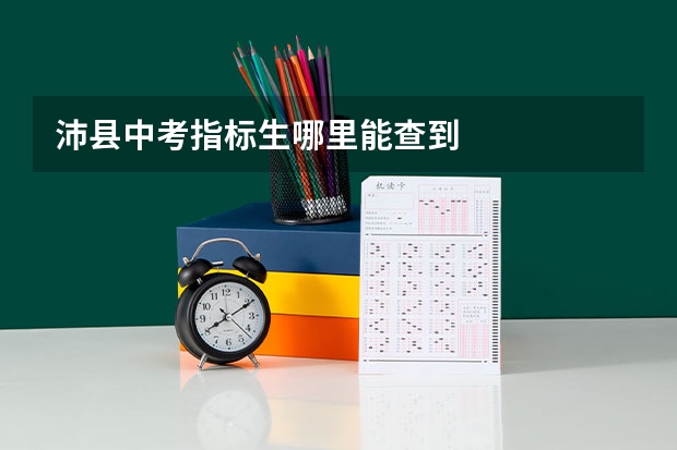 沛县中考指标生哪里能查到