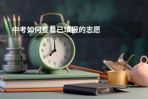 中考如何查看已填报的志愿