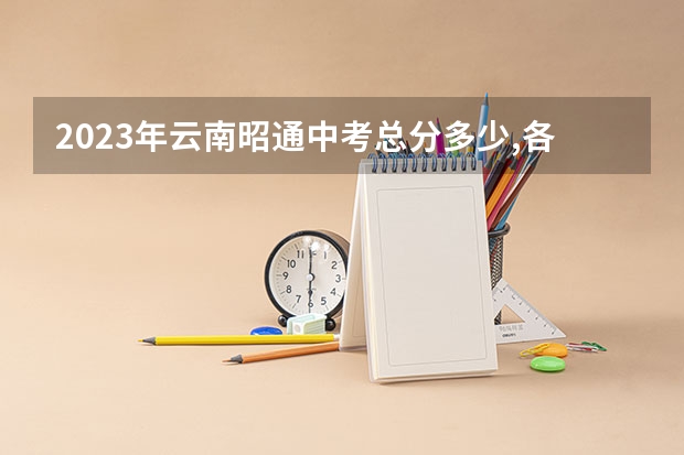 2023年云南昭通中考总分多少,各科都是多少分?