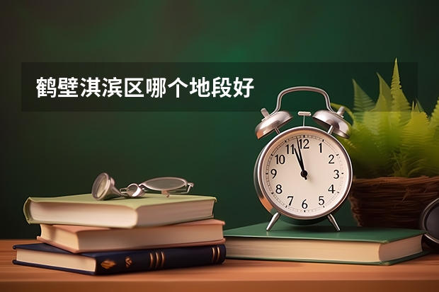 鹤壁淇滨区哪个地段好
