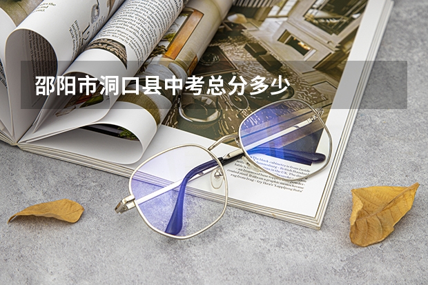 邵阳市洞口县中考总分多少