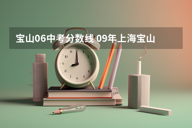 宝山06中考分数线 09年上海宝山区中考各校录取分数线