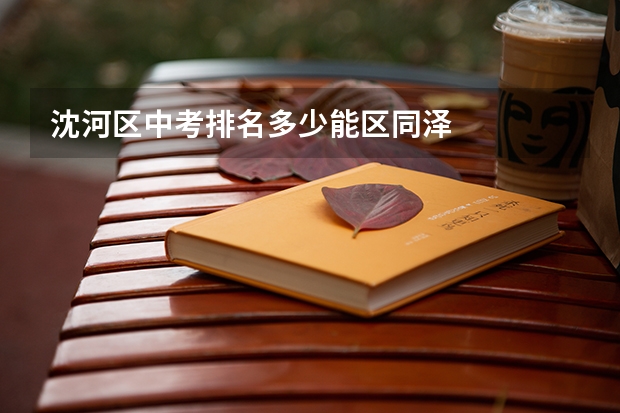 沈河区中考排名多少能区同泽