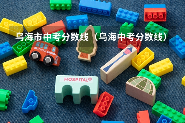乌海市中考分数线（乌海中考分数线）