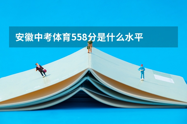 安徽中考体育55.8分是什么水平