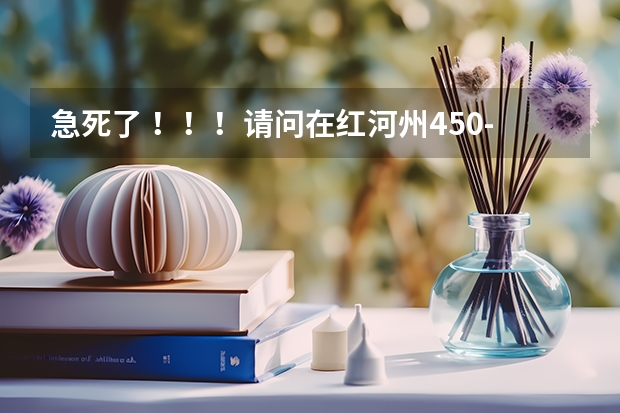 急死了 ！！！请问在红河州450-600分的中考分 读什么学校好呢？？？欢迎回答
