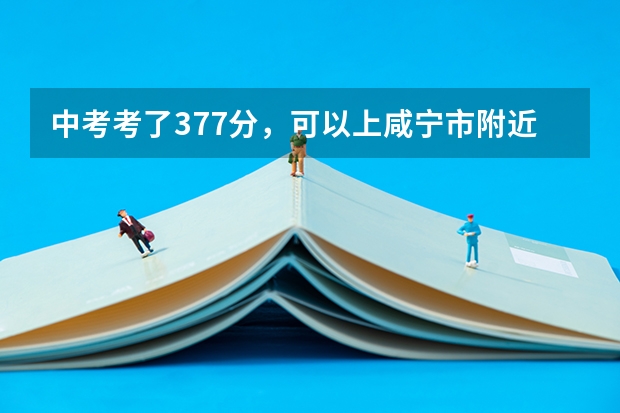中考考了377分，可以上咸宁市附近的哪个高中？？