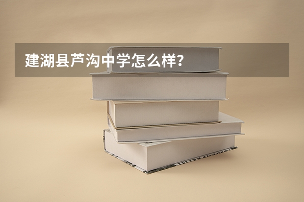 建湖县芦沟中学怎么样？