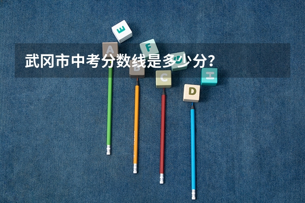 武冈市中考分数线是多少分？