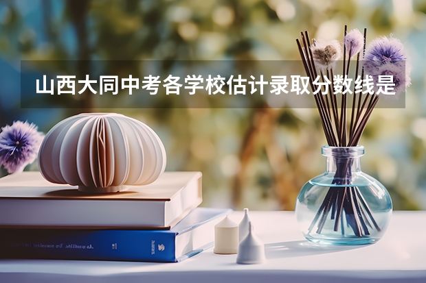 山西大同中考各学校估计录取分数线是多少