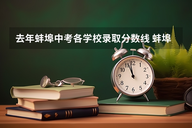 去年蚌埠中考各学校录取分数线 蚌埠中考分数线