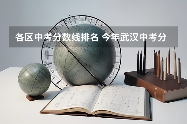 各区中考分数线排名 今年武汉中考分数排名