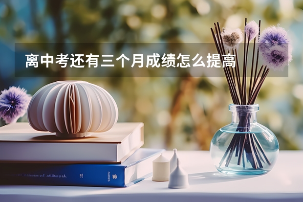 离中考还有三个月成绩怎么提高