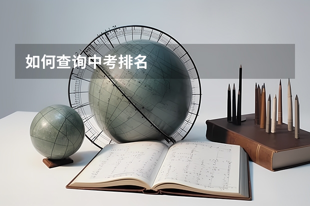 如何查询中考排名