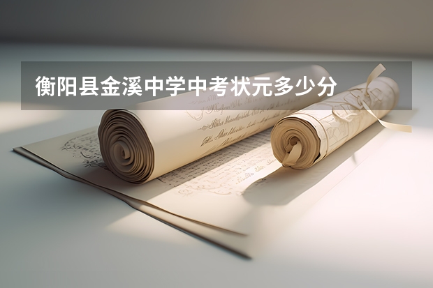 衡阳县金溪中学中考状元多少分