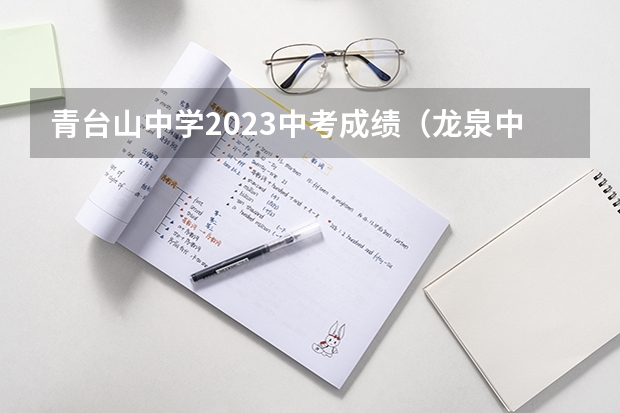 青台山中学2023中考成绩（龙泉中考录取分数线）