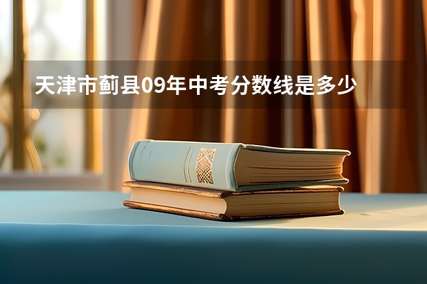 天津市蓟县09年中考分数线是多少