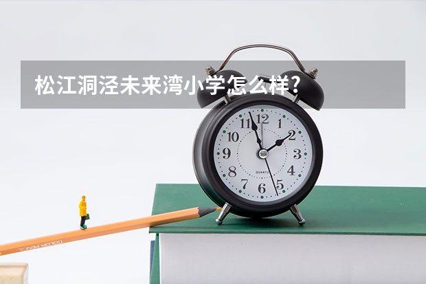 松江洞泾未来湾小学怎么样?