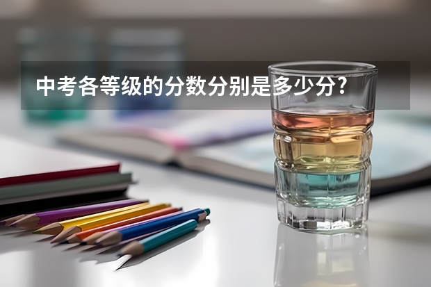 中考各等级的分数分别是多少分?