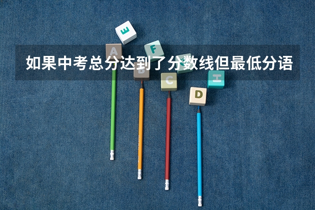 如果中考总分达到了分数线但最低分语数外没有达到要求怎么办？会有什么影响
