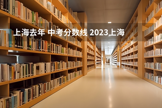 上海去年 中考分数线 2023上海各区中考分数线