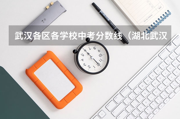 武汉各区各学校中考分数线（湖北武汉中考分数线）