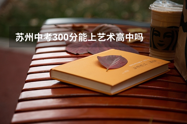 苏州中考300分能上艺术高中吗
