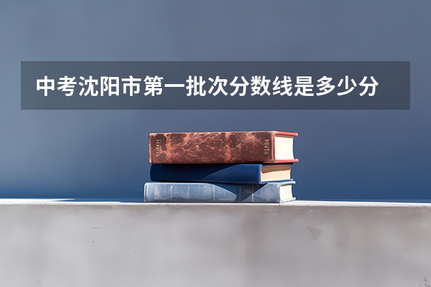 中考沈阳市第一批次分数线是多少分