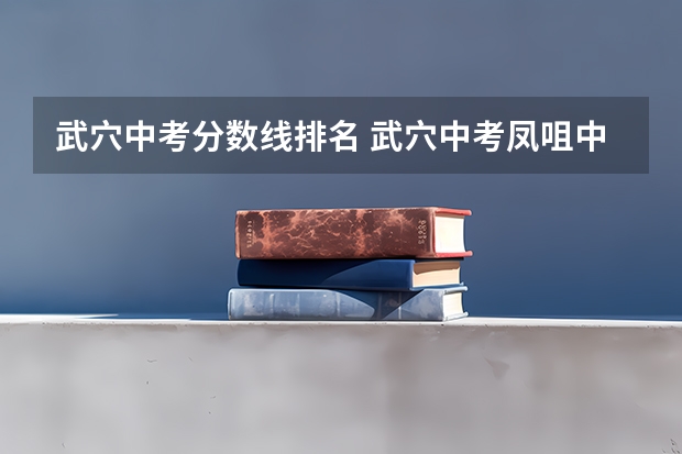 武穴中考分数线排名 武穴中考凤咀中学初三成绩单