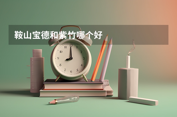 鞍山宝德和紫竹哪个好